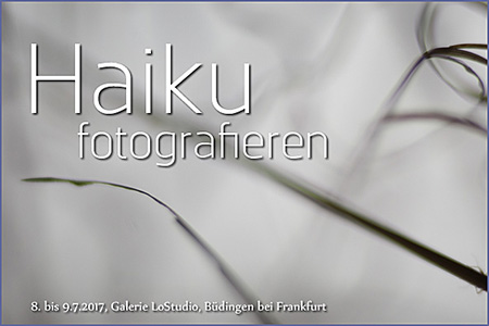 Haiku fotografieren mit Martin Timm