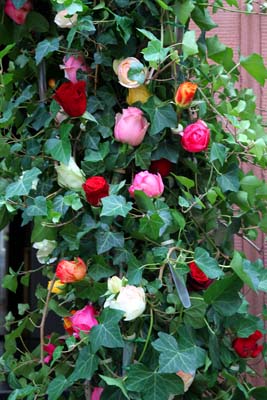 Landpartie Schloss Büdingen 2014